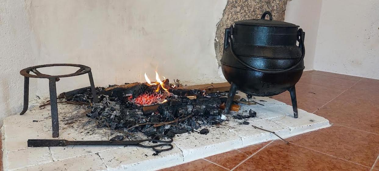 Ferienwohnung A Casa Da Rapariga De Cabelo Azul Manteigas Exterior foto