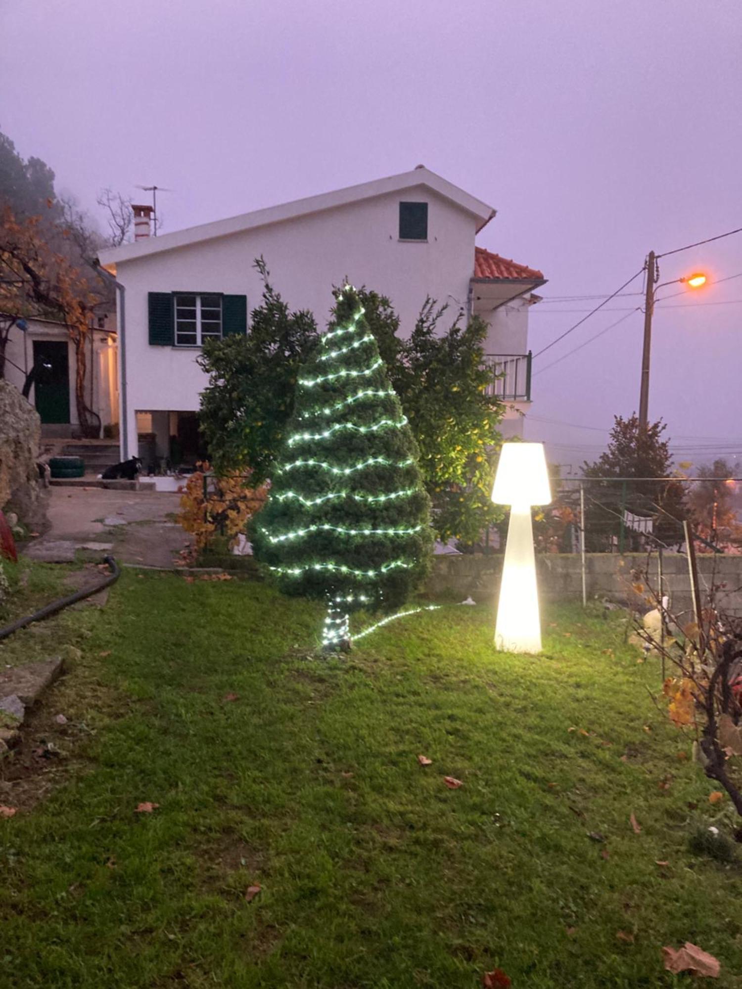 Ferienwohnung A Casa Da Rapariga De Cabelo Azul Manteigas Exterior foto